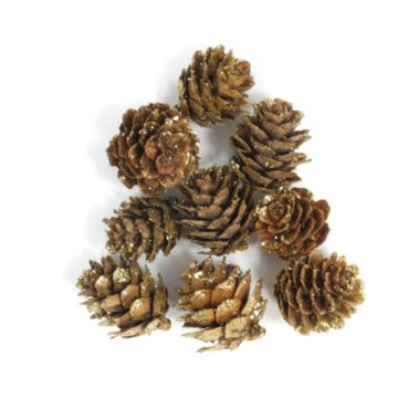 Zapfen natur gold glitter