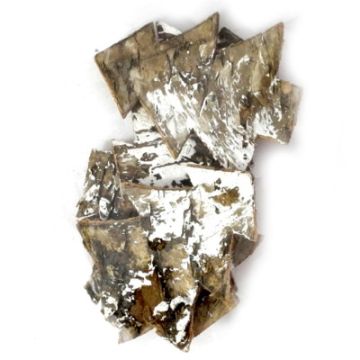 Birkenrinde Baum natur weiß 6 cm Baum
