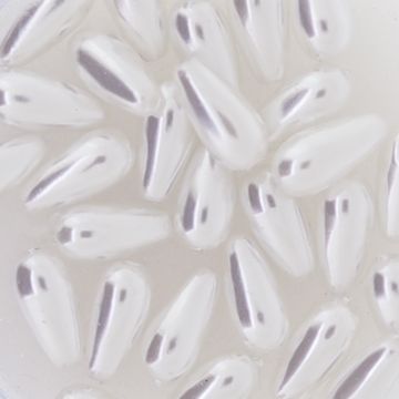 Wachsoliven kultur 6x3 mm Lochgröße 0,8 mm