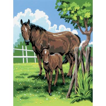 Malen nach Zahlen Junior Stute & Fohlen 33x24 cm