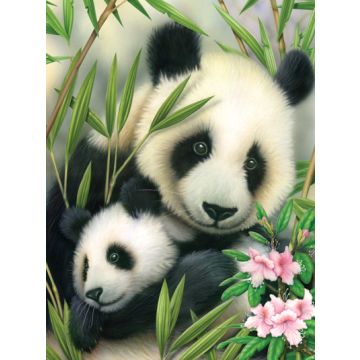 Malen nach Zahlen Junior Panda 33x24 cm