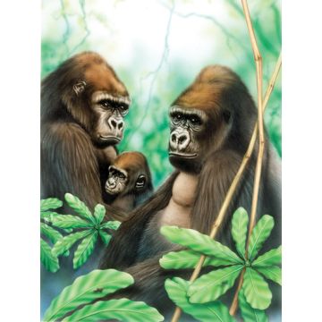 Malen nach Zahlen Junior Gorillas 33x24 cm