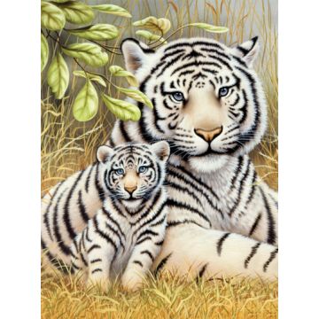 Malen nach Zahlen Junior Weiße Tiger 33x24 cm