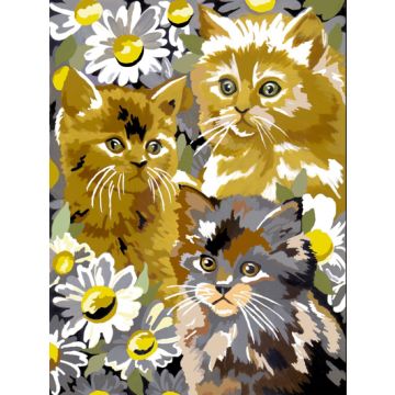 Malen nach Zahlen Junior Kätzchen mit Blüten 33x24 cm