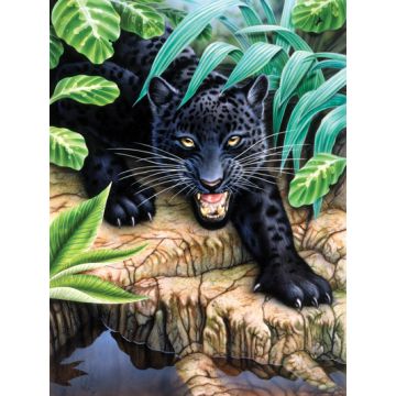 Malen nach Zahlen Junior Schwarzer Panther 33x24 cm