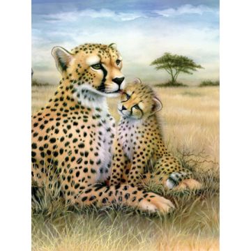 Malen nach Zahlen Junior Leopard 33x24 cm