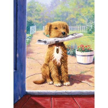 Malen nach Zahlen Junior Zeitungsjunge 33x24 cm
