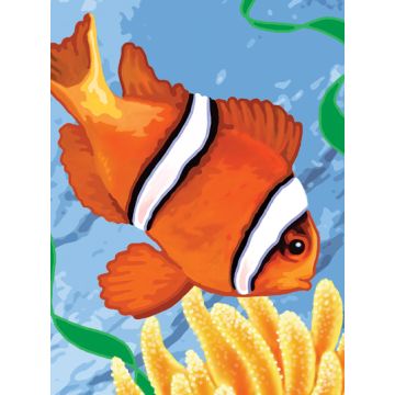 Malen nach Zahlen Junior Clownfisch 33x24 cm
