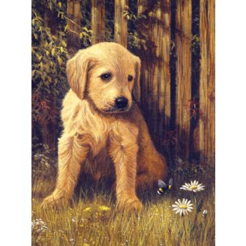 Malen nach Zahlen Junior Welpe 33x24 cm