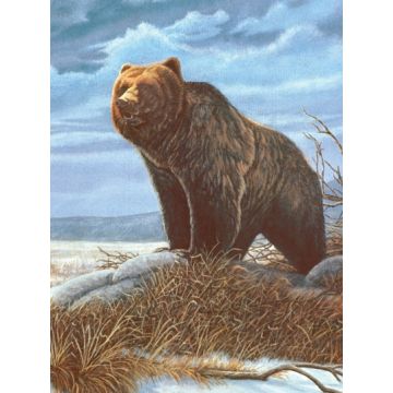 Malen nach Zahlen Junior Grizzly 33x24 cm