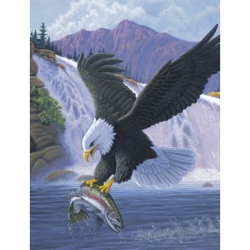 Malen nach Zahlen Junior Weißkopf-Seeadler 33x24 cm