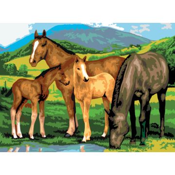 Malen nach Zahlen Junior Pferde 40x32,5 cm