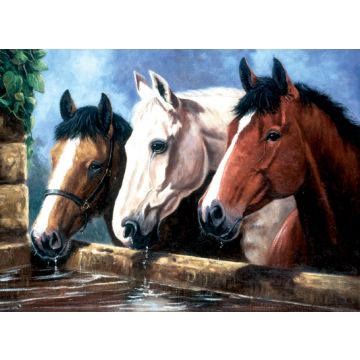 Malen nach Zahlen Junior trinkende Pferde 40x32,5 cm