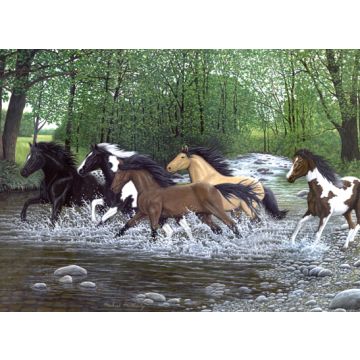 Malen nach Zahlen Junior galoppierende Pferde 40x32,5 cm