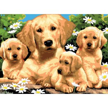 Malen nach Zahlen Junior Golden Retriever 40x32,5 cm