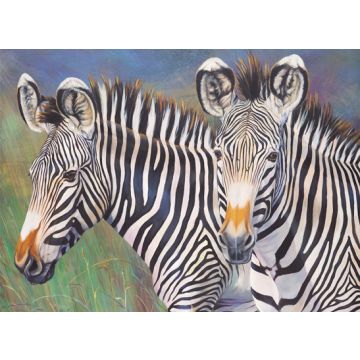 Malen nach Zahlen Junior Zebras 40x32,5 cm