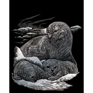 Kratzbilder Seehund & Babys silberfarbig 20,3x25,4 cm