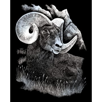 Kratzbilder Schafbock silberfarbig 20,3x25,4 cm