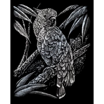 Kratzbilder Kakadu silberfarbig 20,3x25,4 cm