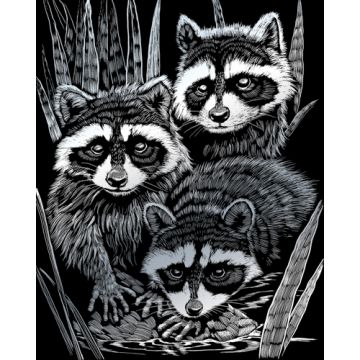 Kratzbilder Wachbären silberfarbig 20,3x25,4 cm