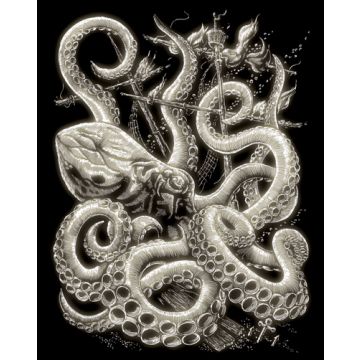 Kratzbilder Oktupus Glow-in-the-Dark 20,3x25,4 cm