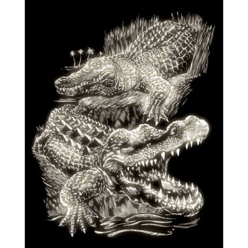 Kratzbilder Krokodile Glow-in-the-Dark 20,3x25,4 cm