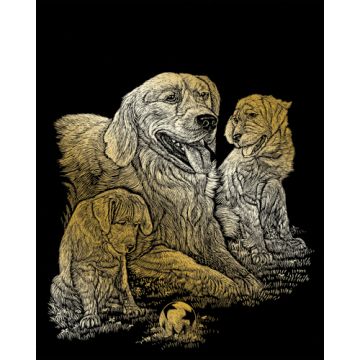 Kratzbilder Golden Retriever goldfarbig 20,3x25,4 cm