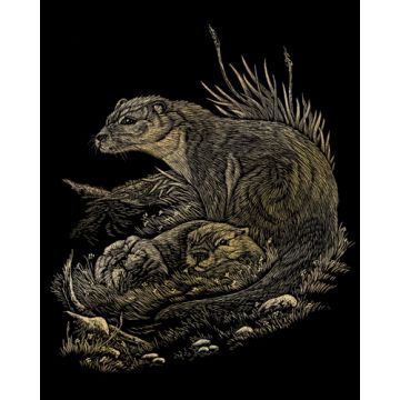 Kratzbilder Otter goldfarbig 20,3x25,4 cm Pracht Creatives Hobby