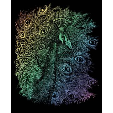 Kratzbilder Pfau rainbow 20,3x25,4 cm