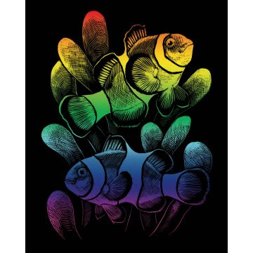 Kratzbilder Clownfisch rainbow 20,3x25,4 cm Pracht Creatives Hobby