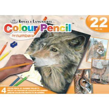 Malen nach Zahlen Buntstifte, Wildtiere 25,4x20,3 cm 1 Pack, = 4 Bilder