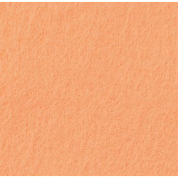 Filzrolle hautfarben 45x500 cm 1 Stück
