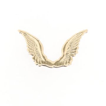 Engelflügel goldfarben 50x25 mm