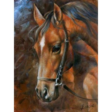 Diamond Painting Pferd 40x30 cm 1 Stück