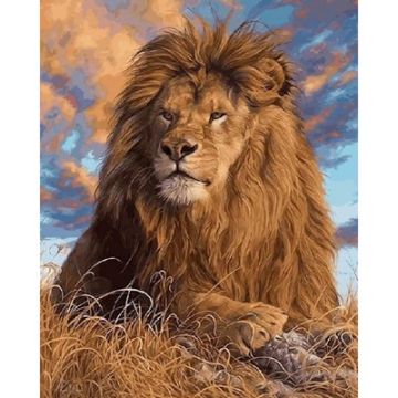 Diamond Painting Löwe 40x30 cm 1 Stück