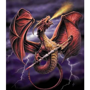 Diamond Painting Drache 50x40 cm 1 Stück