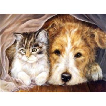 Diamond Painting Tierische Freunde 40x30 cm 1 St