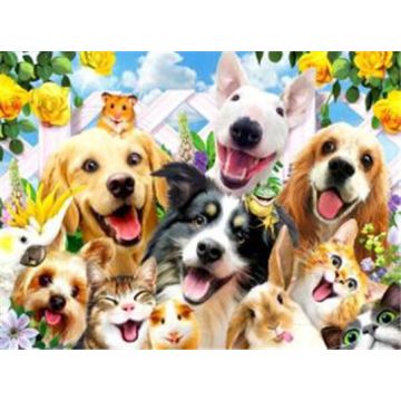 Diamond Painting Tierisches Selfie 40x30 cm 6037-40121 4016490911074  