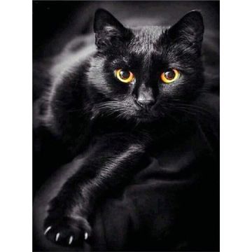 Diamond Painting Schwarze Katze 40x30 cm 1 Stück