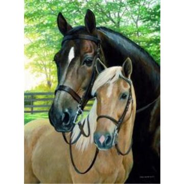 Diamond Painting Pferde 40x30 cm 1 Stück