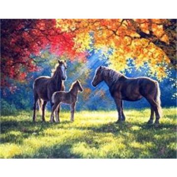 Diamond Painting Pferde im Herbst 40x30 cm