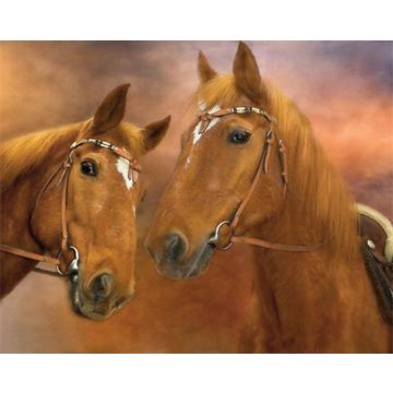 Diamond Painting Zwei Pferde 40x30 cm Pracht Creatives Hobby