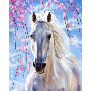 Diamond Painting Schimmel 40x30 cm