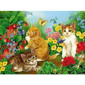 Diamond Painting Kätzchen in Blumenwiese 40x30 cm Pracht Creatives Hobby