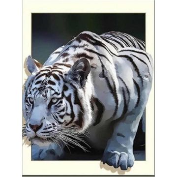 Diamond Painting weißer Tiger 40x30 cm