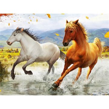 Diamond Painting Pferde im Galopp 40x30 cm Pracht Creatives Hobby