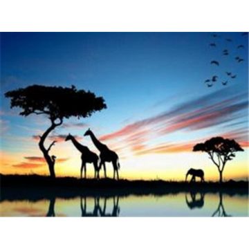 Diamond Painting Afrika 50x40 cm 2St 6037-50161 4016490911357  