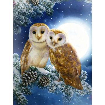 Diamond Painting Eulen 50x40 cm