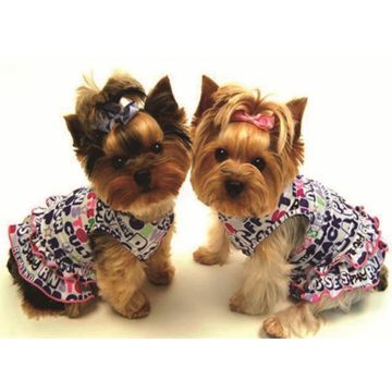 Diamond Painting Yorkshire Terrier 50x40 cm Pracht Creatives Hobby