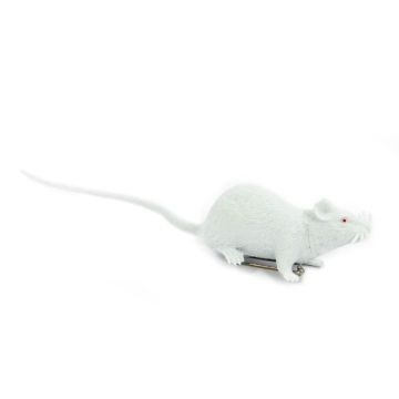 Anstecker Ratte weiß